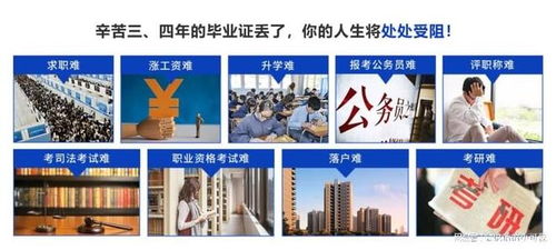 2025年北京檔案存放服務(wù)指南 升職貓全程跟進(jìn)，助力信息咨詢