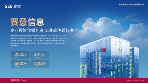 賽意信息入選2024行業(yè)軟件企業(yè)活力與服務(wù)力Top30，彰顯北京信息技術(shù)咨詢(xún)服務(wù)實(shí)力